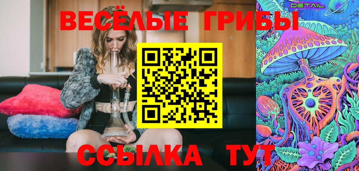 Галлюциногенные грибы мухоморы  Вход с VPN  Кузнецк 